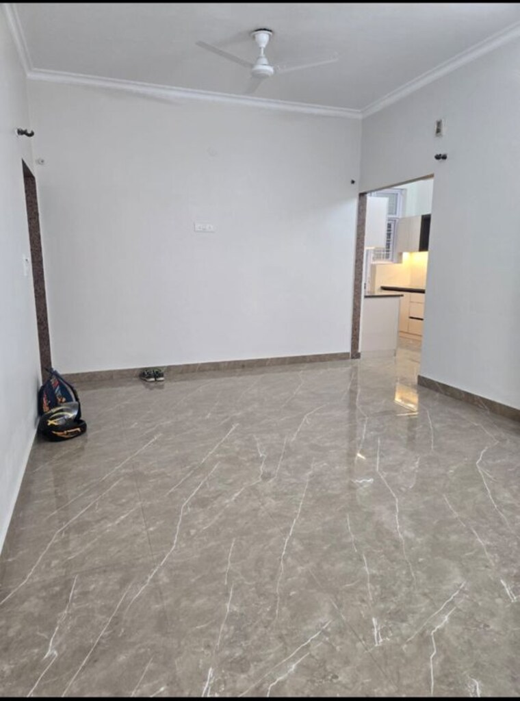 Room, kohli-one-malibu-town 3 Bedroom 240 Sq.Yd. Builder Floor In Sector 47 Gurgaon 10502917