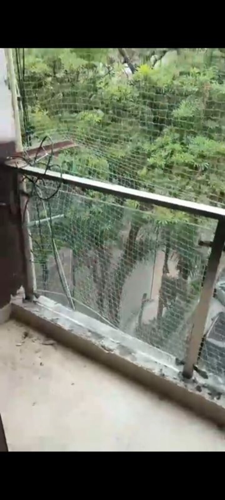 Balcony, lajpat nagar ii 1 RK 350 Sq.Ft. Builder Floor In Lajpat Nagar ii Delhi 10502994