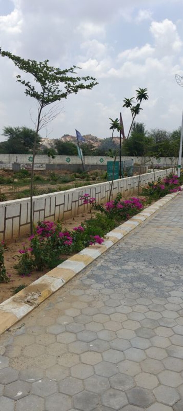 Nearby, kanota  200 Sq.Yd. Plot In Kanota Jaipur 10502999