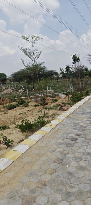 Plot Area in  Plot at Kanota – for Sale