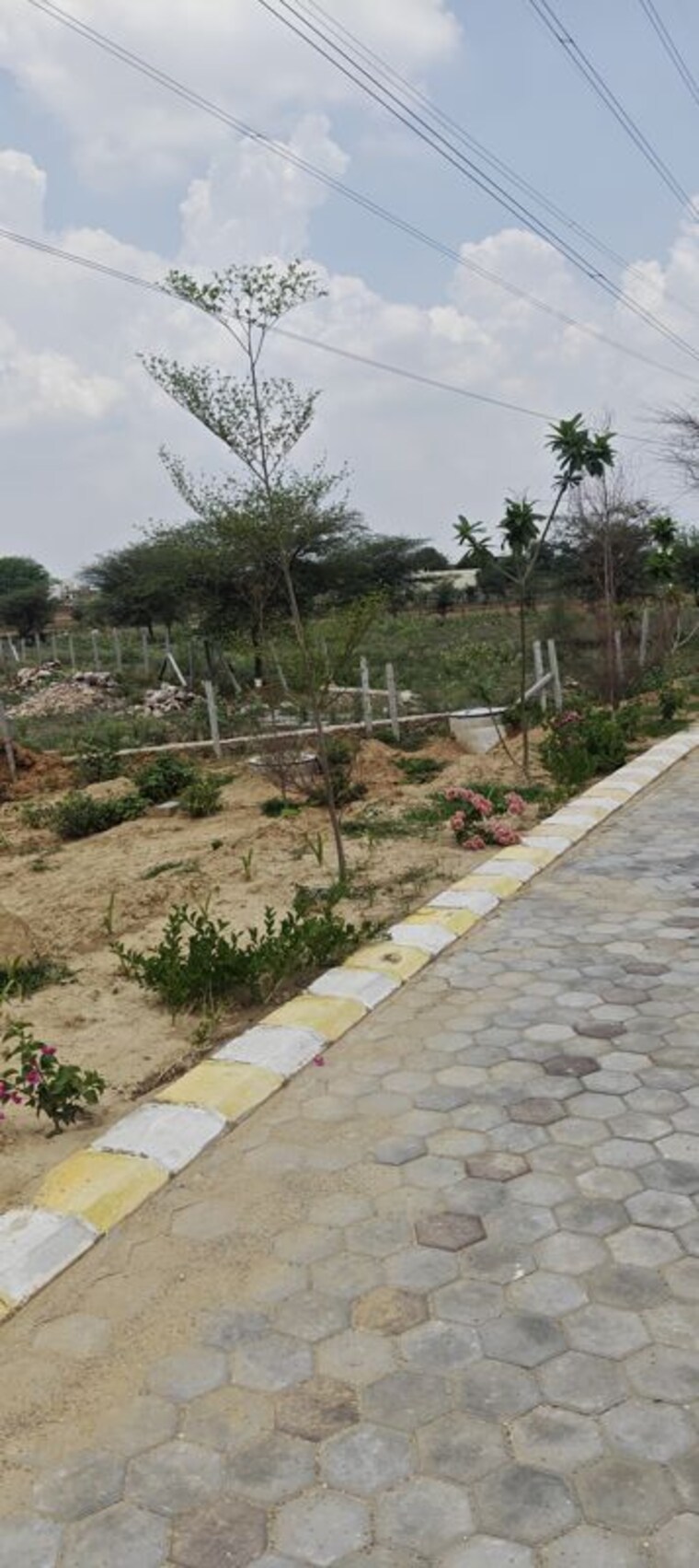 undefined, kanota  200 Sq.Yd. Plot In Kanota Jaipur 10502999