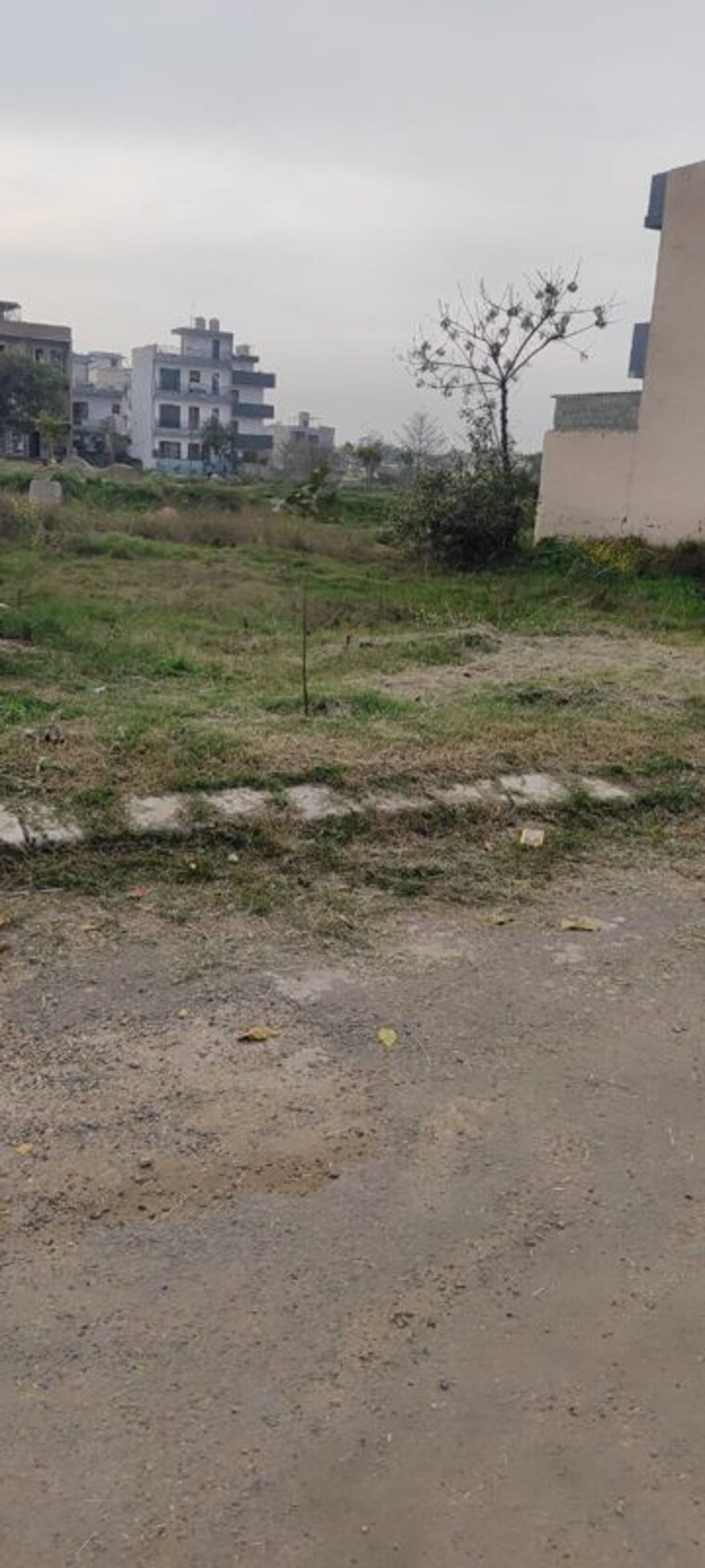undefined, altus-muirwood-ecocity  100 Sq.Yd. Plot In North Kharar Chandigarh 10503442