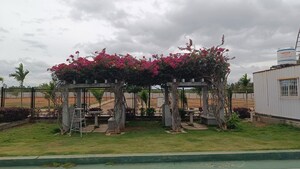  Plot – Exterior View View at Hoskote - for Sale