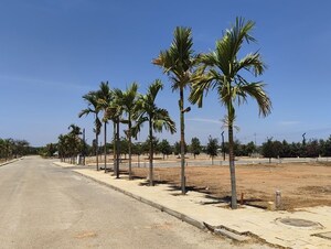 Plot Area in  Plot at Hoskote – for Sale