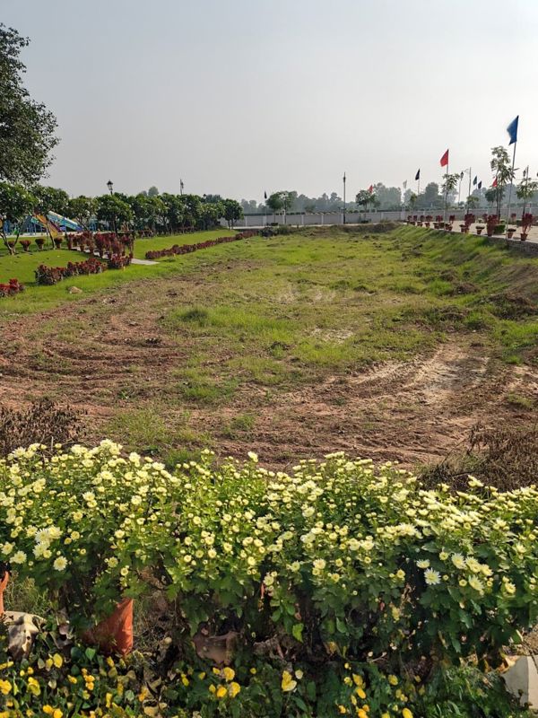 165 Sq.Yd. Plot in Sector 95A