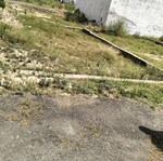 142 Sq.Yd. Plot in Partapur