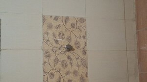 Furnished Amenities in 1 BHK Apartment at Arihant Venkateshwara Green City, Hadapsar – for Rent