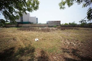 Plot Area in  Plot at Kolat – for Sale