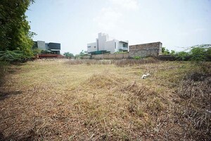 Plot Area in  Plot at Kolat – for Sale