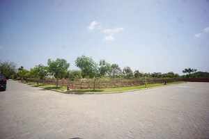   Plot at Kolat – for Sale