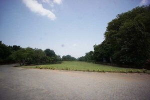 Plot Area in  Plot at Kolat – for Sale