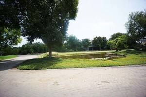 Plot Area in  Plot at Kolat – for Sale