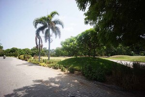 Plot Area in  Plot at Kolat – for Sale