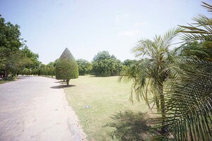  Plot – Garden View at Kolat - for Sale