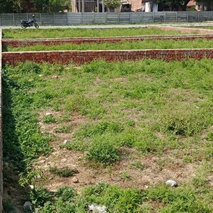 Plot Area in  Plot at Pindra – for Sale
