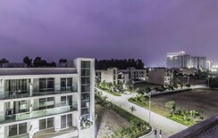 3 BHK + Pooja Room Apartment For Rent in Omaxe Ambrosia