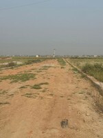 100 Sq.Yd. Plot in Jewar