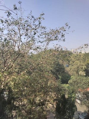 3 BHK Apartment – Garden View at Atur Terraces Cuffe Parade, Cuffe Parade - for Rent