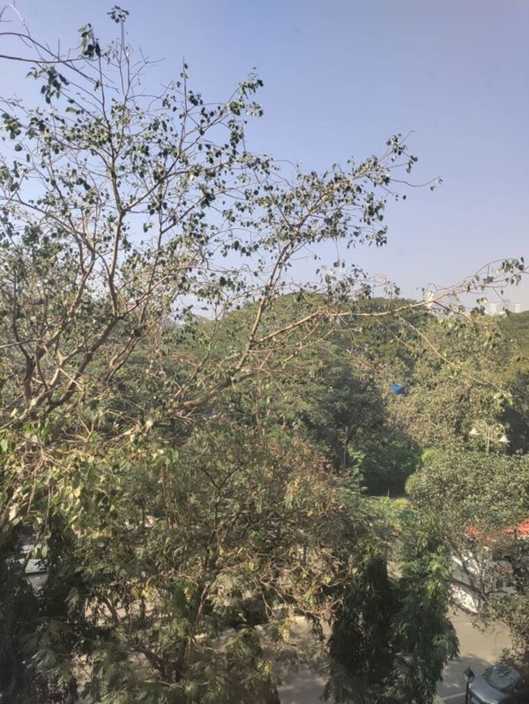 Garden, atur-terraces-cuffe-parade 3 Bedroom 1500 Sq.Ft. Apartment In Cuffe Parade Mumbai 10504156
