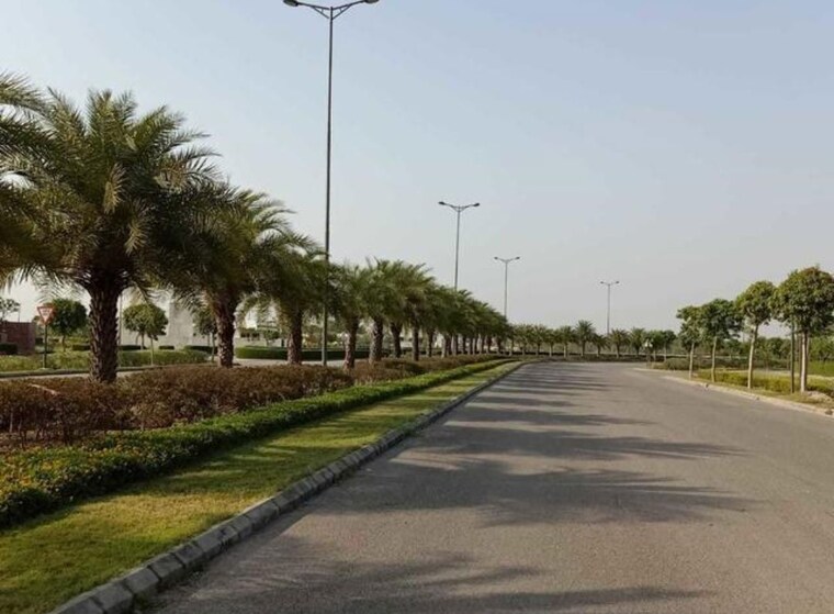 undefined, south city 2  365 Sq.Yd. Plot In South City 2 Gurgaon 10504190
