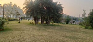 3 BHK Builder Floor – Garden View at Omaxe New Chandigarh, North Mullanpur - for Rent
