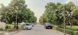 Parking in 3 BHK Builder Floor at Omaxe New Chandigarh, North Mullanpur – for Rent
