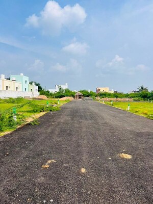  Plot For Sale in Tirumangalam