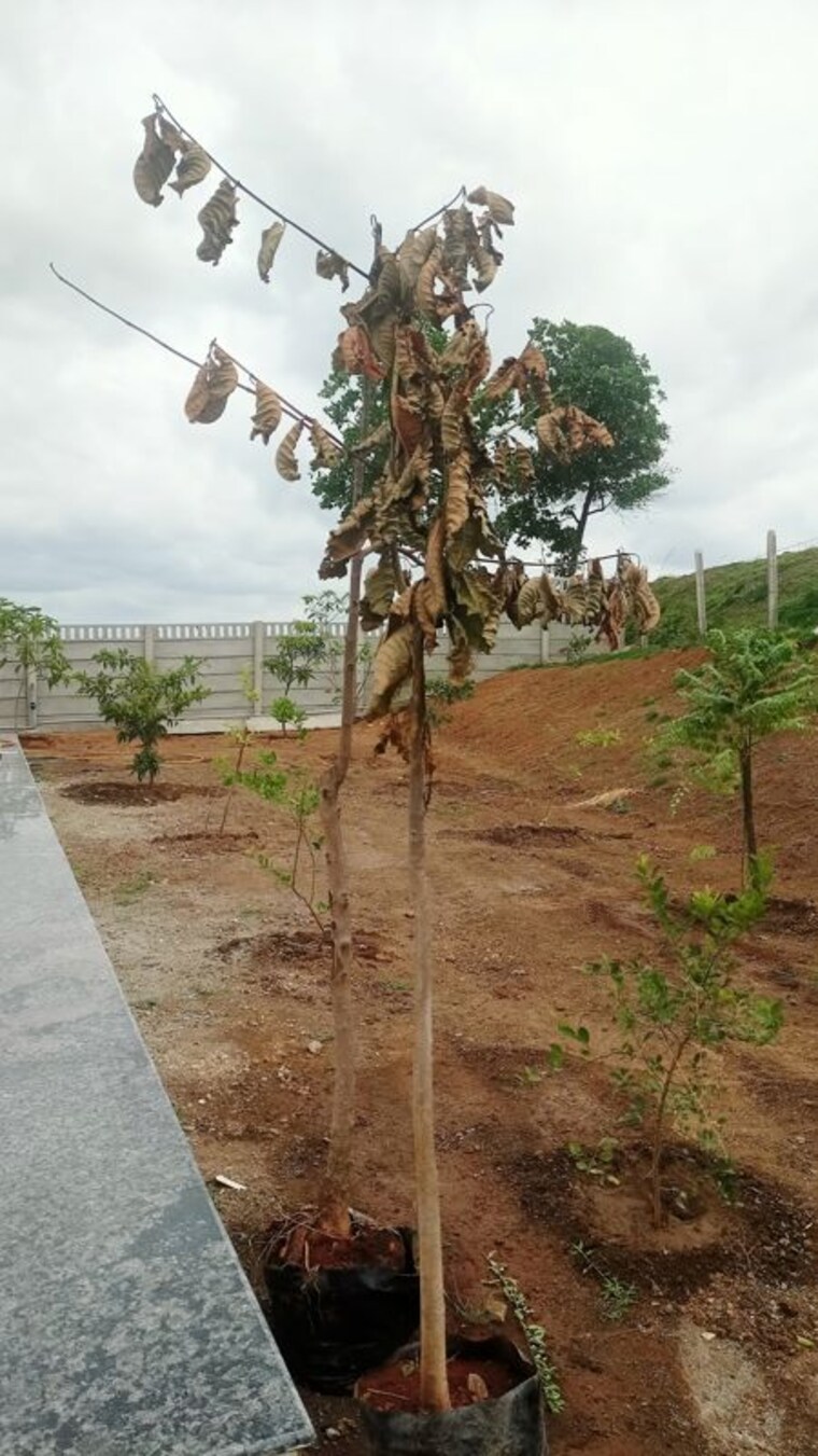 undefined, saddupally  1210 Sq.Ft. Plot In Saddupally Hyderabad 10505149