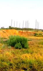 144 Sq.Yd. Plot in Sohna
