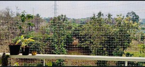 2 BHK Apartment – Garden View at SJR Blue Waters, Off Sarjapur Road - for Rent