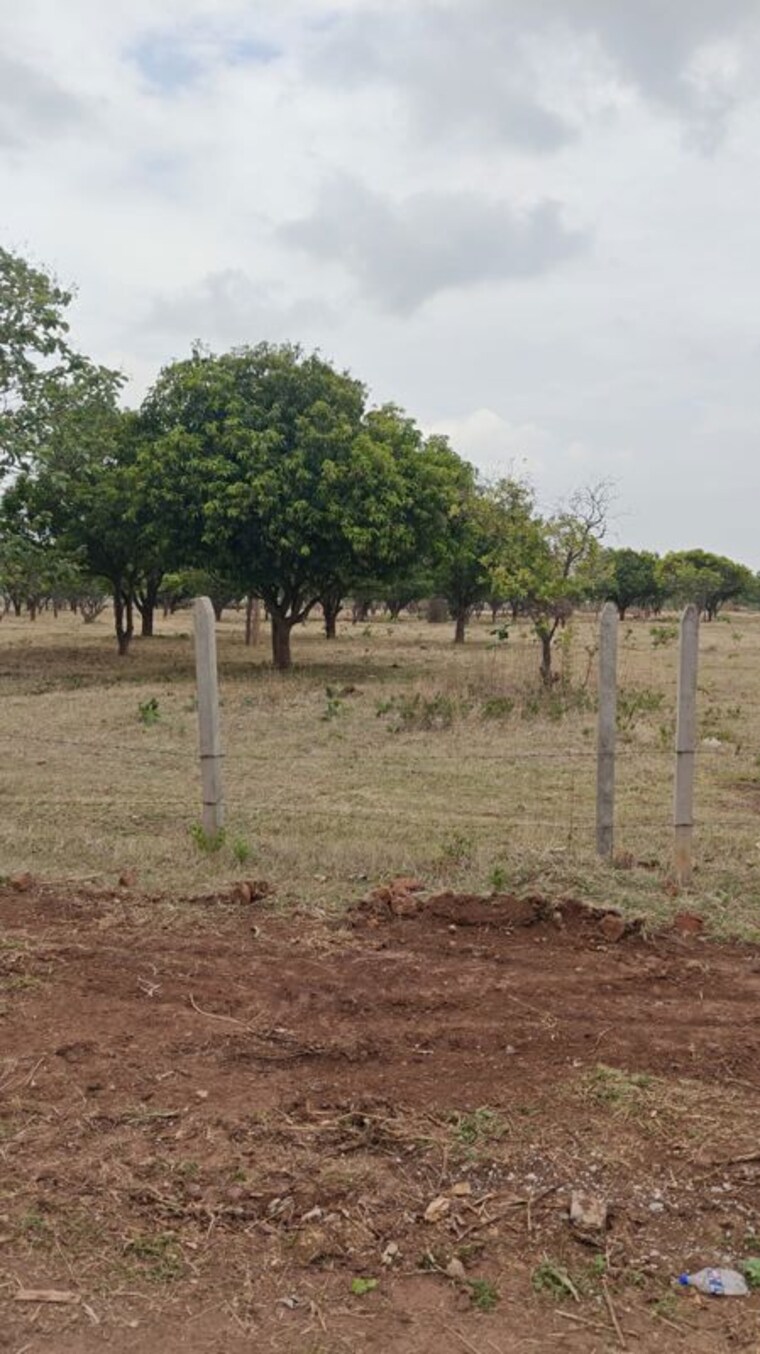 undefined, anand-sarovar Commercial Land 100 Acre In Sangareddy Hyderabad 10505345
