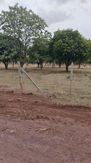 Plot Area in  Land at Anand Sarovar, Sangareddy – for Sale