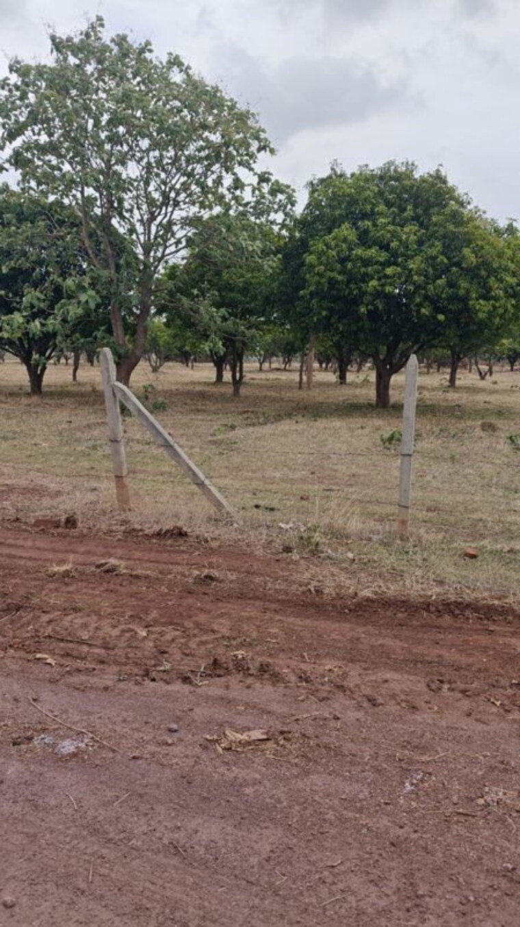 undefined, anand-sarovar Commercial Land 100 Acre In Sangareddy Hyderabad 10505345