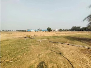 Plot Area in  Plot at Silver Oak, Punawale – for Rent