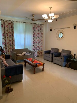 3 BHK Apartment For Rent in The Citizen Apartments, Sector 51