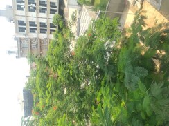 Plot For Sale in Fidato Honour Homes