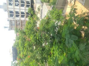  Plot For Sale in Fidato Honour Homes, Sector 89