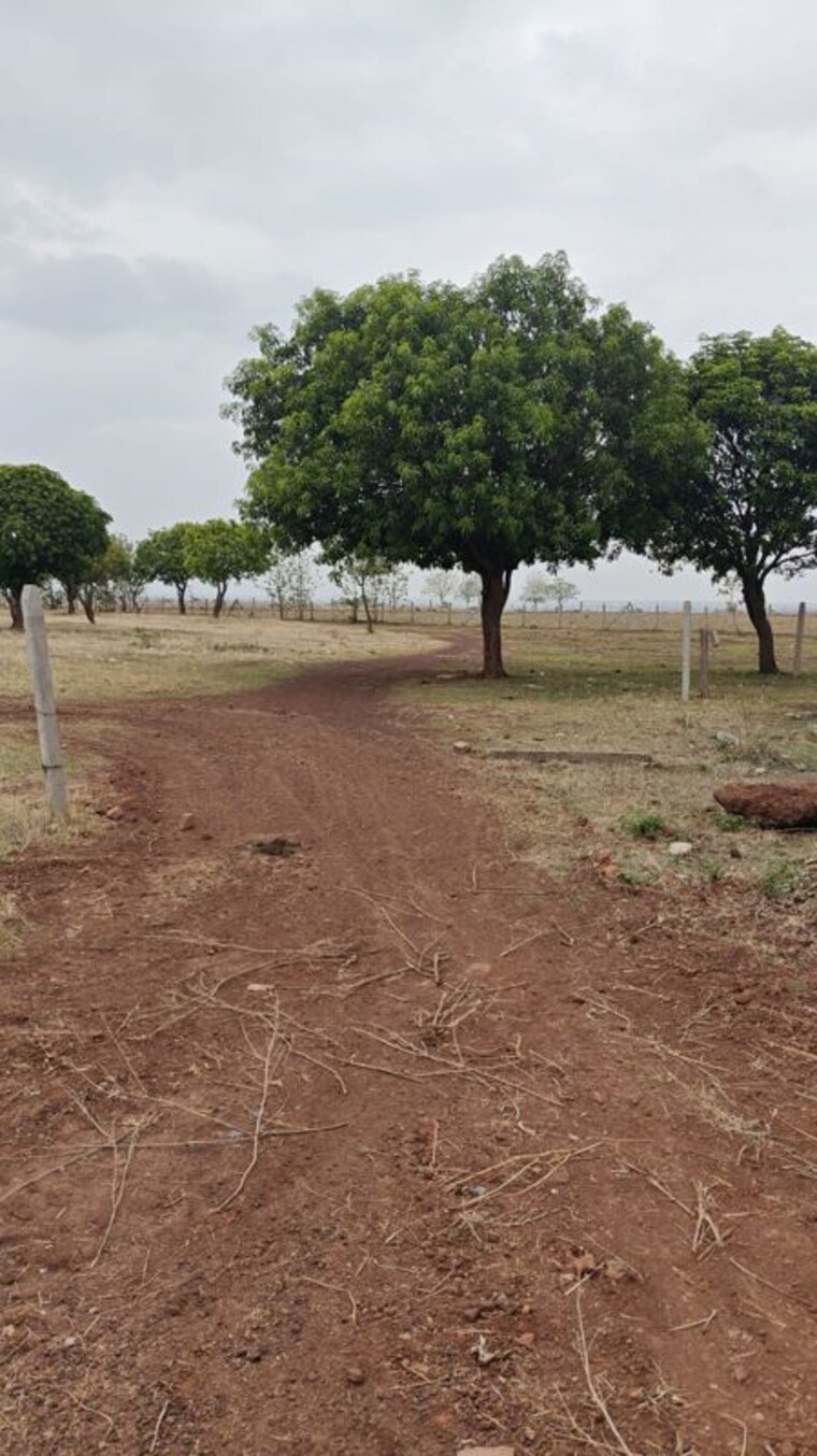 undefined, alekhya-elite-county Commercial Land 200 Acre In Sangareddy Hyderabad 10505405