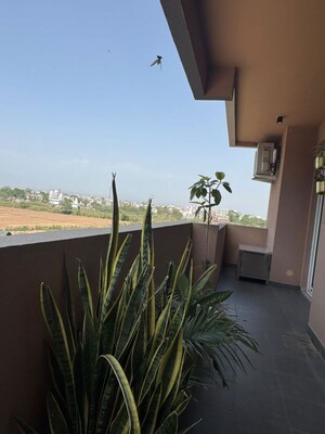 Balcony in 3 BHK Apartment at SAV Gulnaar Meadows, Ambala Highway – for Rent