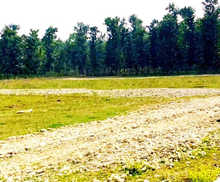 undefined, kalyanpur  100 Sq.Yd. Plot In Kalyanpur Dehradun 10505664