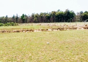 Plot Area in  Plot at Kalyanpur – for Sale