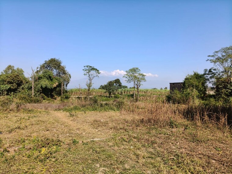 undefined, shimla bypass road  1125 Sq.Ft. Plot In Shimla Bypass Road Dehradun 10505729