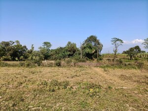 Plot Area in  Plot at Shimla Bypass Road – for Sale