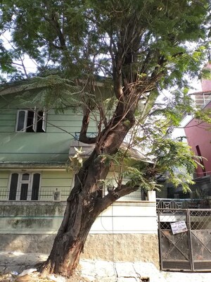 3 BHK Independent House For Sale in Giri Nagar
