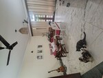 3 BHK + Study Room 2000 Sq.Ft. Builder Floor in Malviya Nagar
