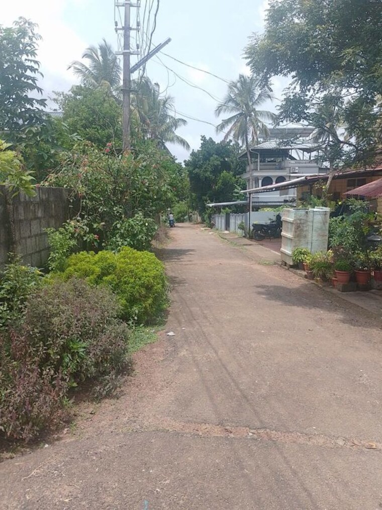 Garden, chiyyaram  4356 Sq.Ft. Plot In Chiyyaram Thrissur 10506102