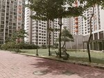 1 BHK + Pooja Room 550 Sq.Ft. Apartment in Shapoorji Pallonji Joyville Virar Phase 6