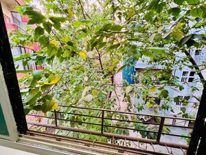 1 BHK Builder Floor – Garden View at Bhosale Nagar - for Rent