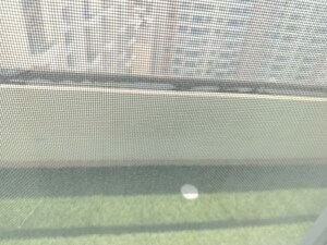 Bathroom in 3 BHK Apartment at Sukhwani Skylines, Wakad – for Rent