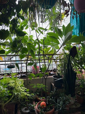 Balcony in 2 BHK Apartment at Paranjape Madhukosh Phase III, Dhayari – for Sale